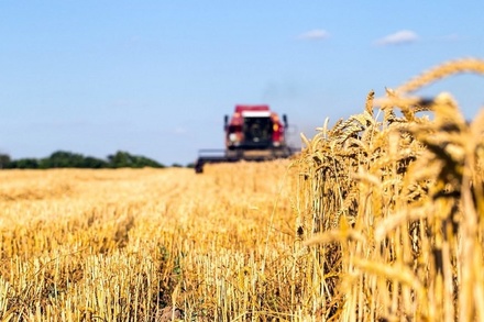 Около 123 миллионов рублей получит Нижегородская область на поддержку агропромышленности