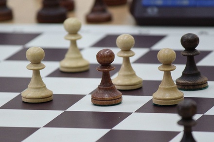 Шахматный клуб откроется в Нижегородском районе