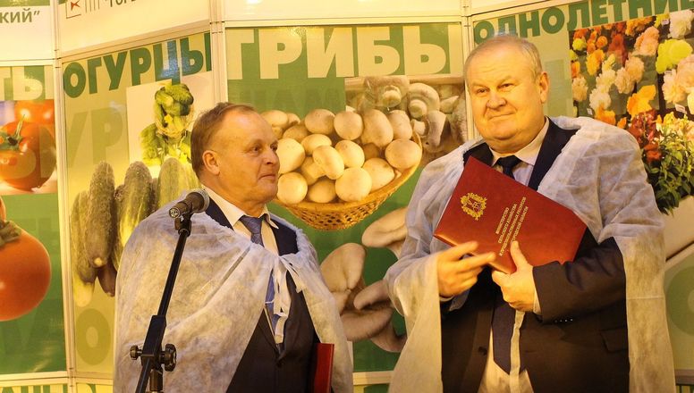Овощи по новой уникальной технологии начали выращивать в Нижнем Новгороде (ФОТО) - фото 24