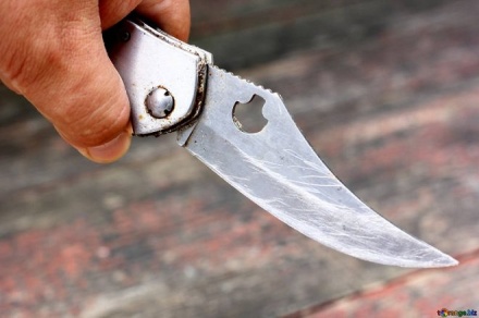 В Сергаче пенсионер напал с ножом на гостя из-за ревности
