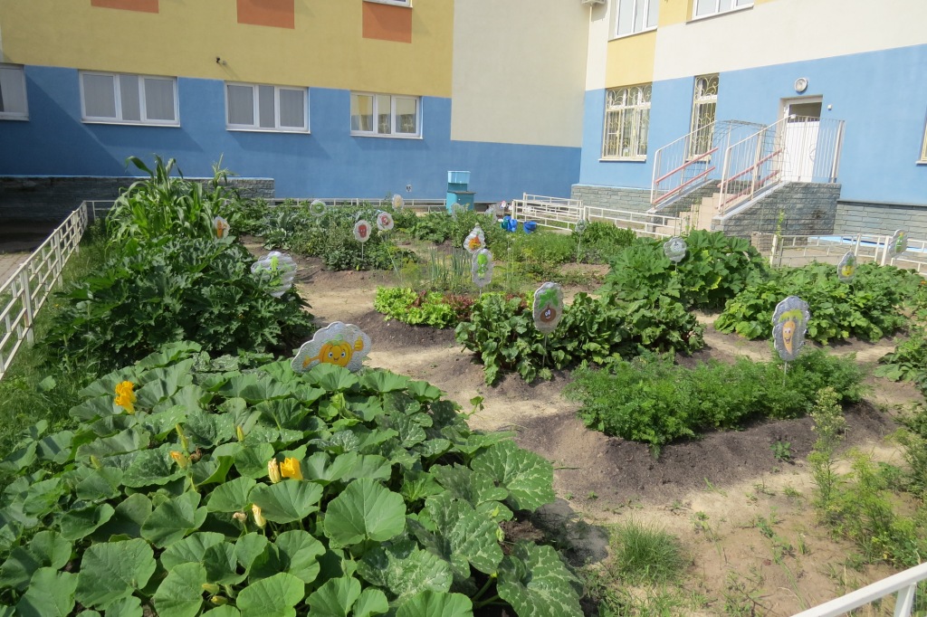 В Автозаводском районе выбрали самые цветущие детские сады (фото) - фото 3
