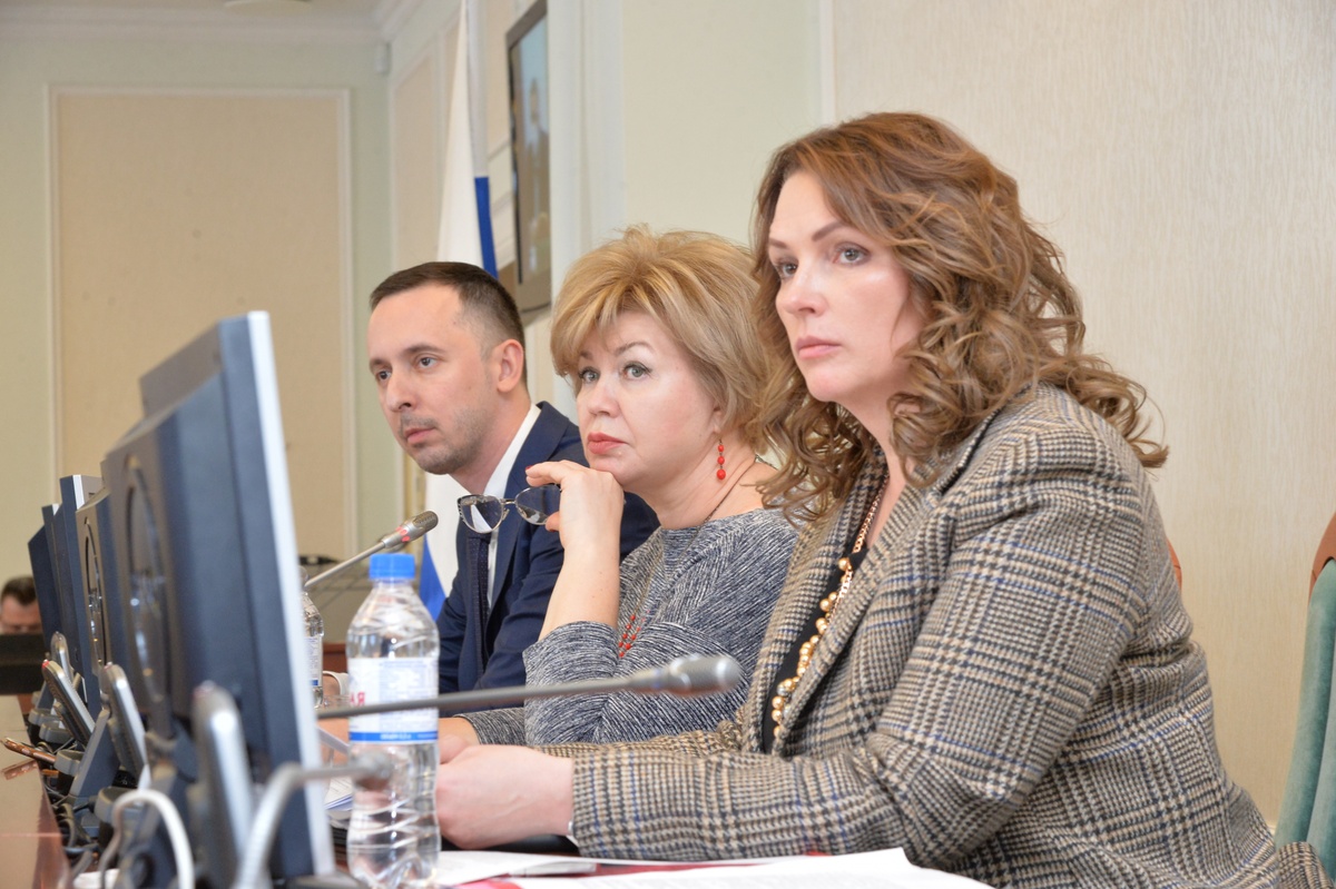 Депутаты нижегородского Законодательного собрания обсудились доступность среды для инвалидов - фото 1