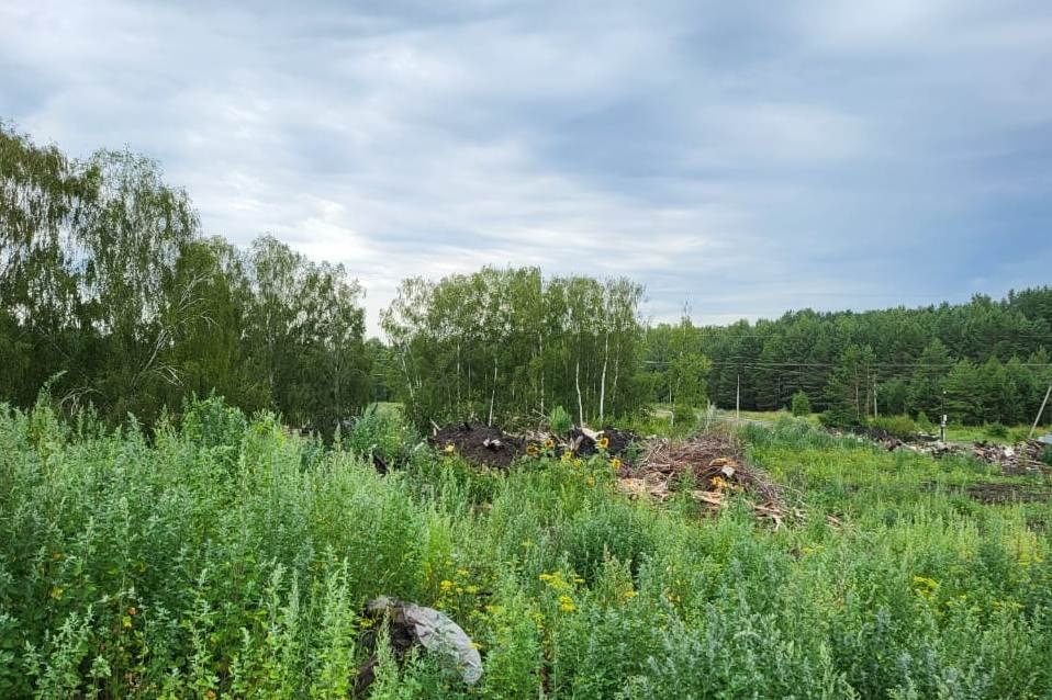 Водоохранную зону реки Умочь в Первомайске рекультивируют к зиме 2023 года