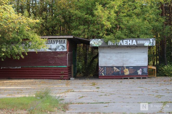 Фоторепортаж: как выглядит Сормовский парк, который ждет масштабная реконструкция - фото 69