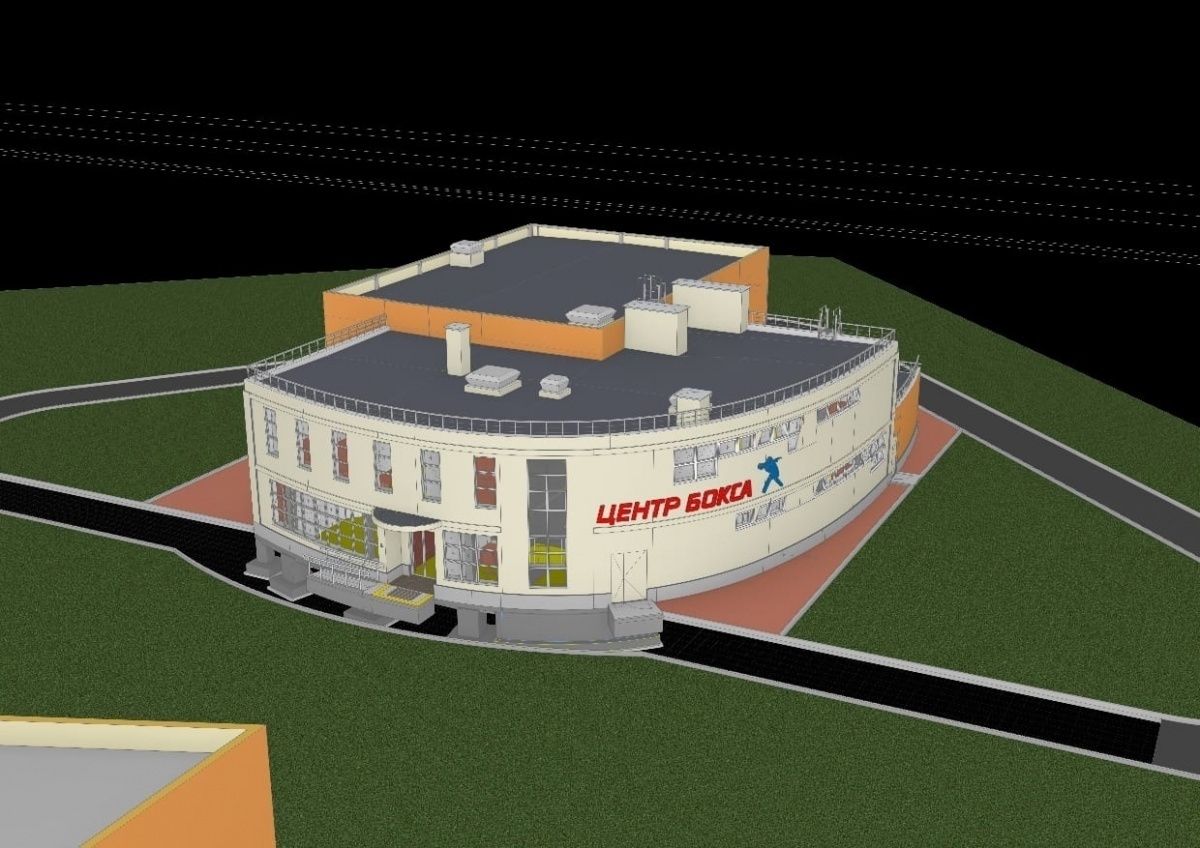 Открытие Центра бокса в Городце планируется перенести на сентябрь - фото 1