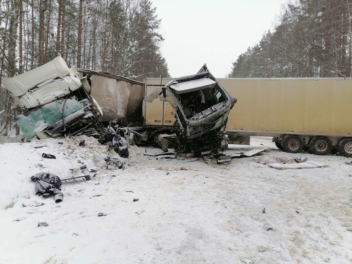 Один человек погиб при столкновении грузовых автомобилей в Нижегородской области - фото 1