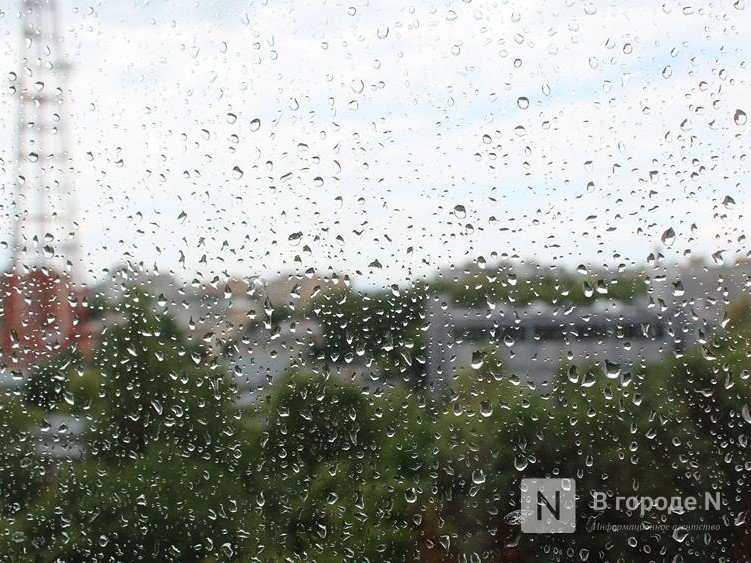 Утро 9 августа встретит нижегородцев проливным дождем и сильным ветром - фото 1