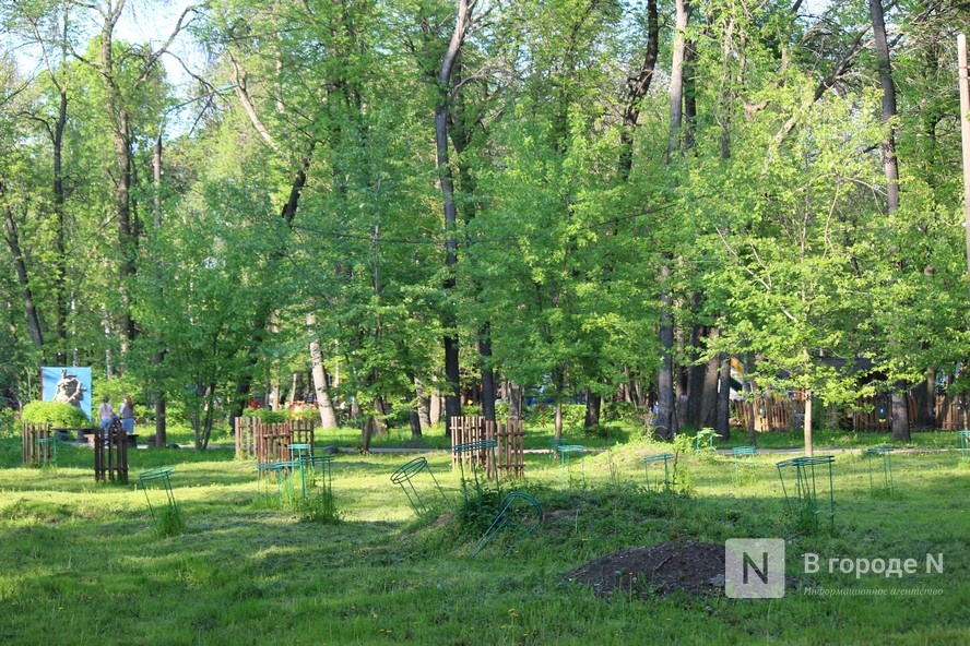 Зеленый лабиринт и выставочный павильон: каким станет нижегородский парк имени 1 Мая - фото 13