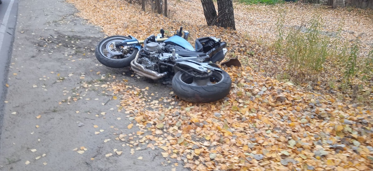 Мотоциклист погиб, врезавшись в дерево в Сарове - фото 1