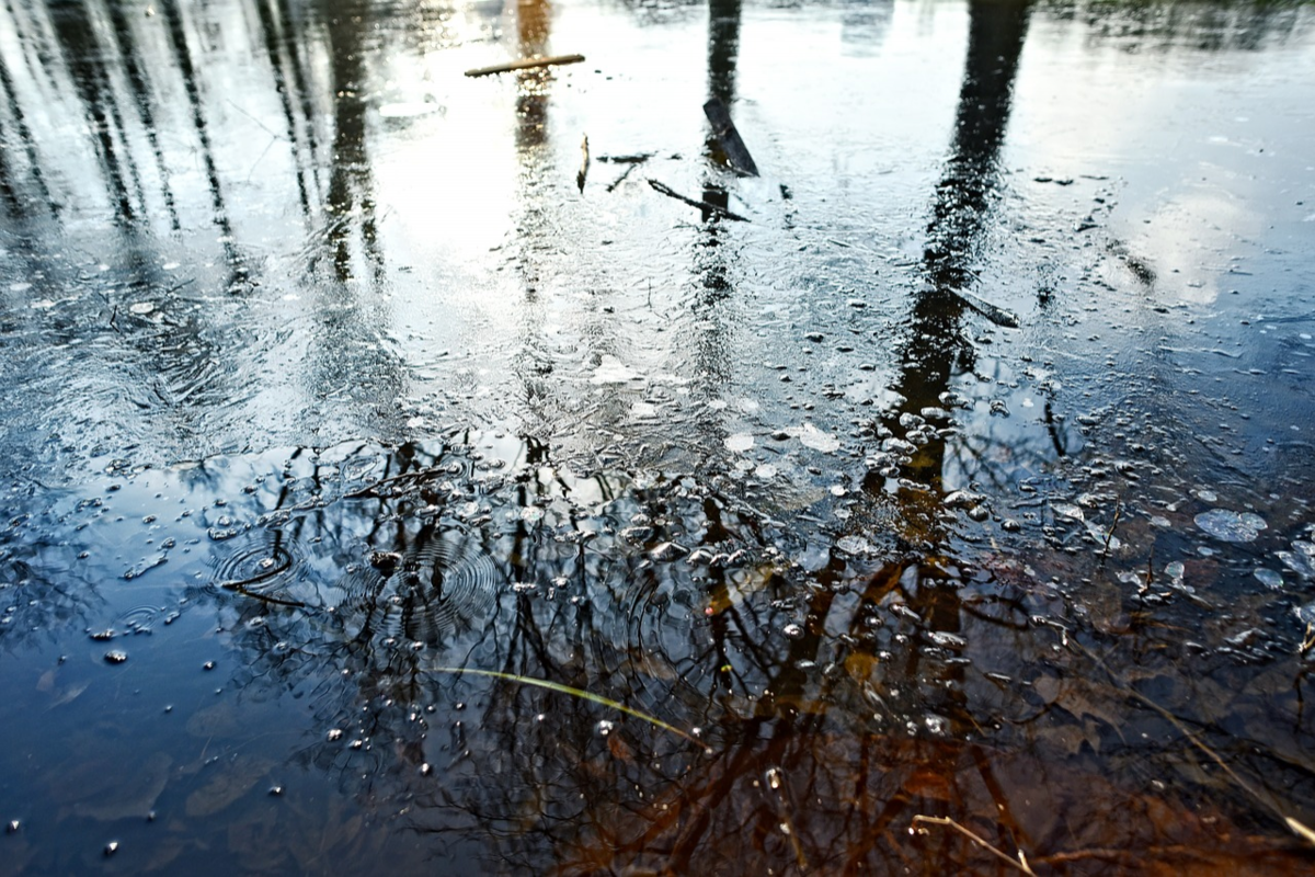 Прошло немного времени роса испарилась воздух застыл. Дождь отражение. Поверхность воды пруд. Застывший пруд блестел как зеркало. Отмуховско́е озеро Польша.