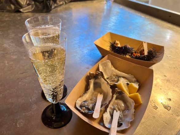 Морские гады, руины и потрясающий климат: вся правда о путешествии Барселона &mdash; Рим - фото 76