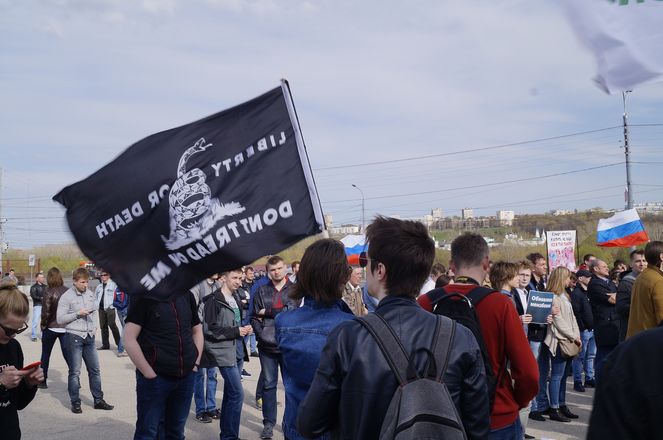 Митинг Навального в Нижнем Новгороде: итог - фото 21