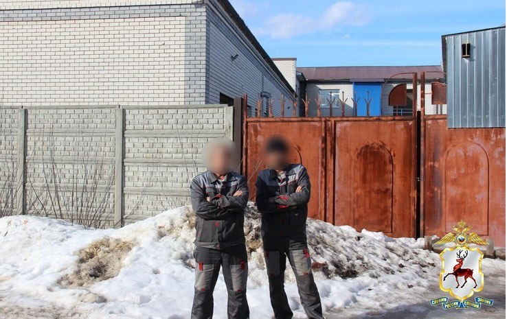 Нелегальную работу и перевозку мигрантов пресекли в Нижегородской области - фото 2