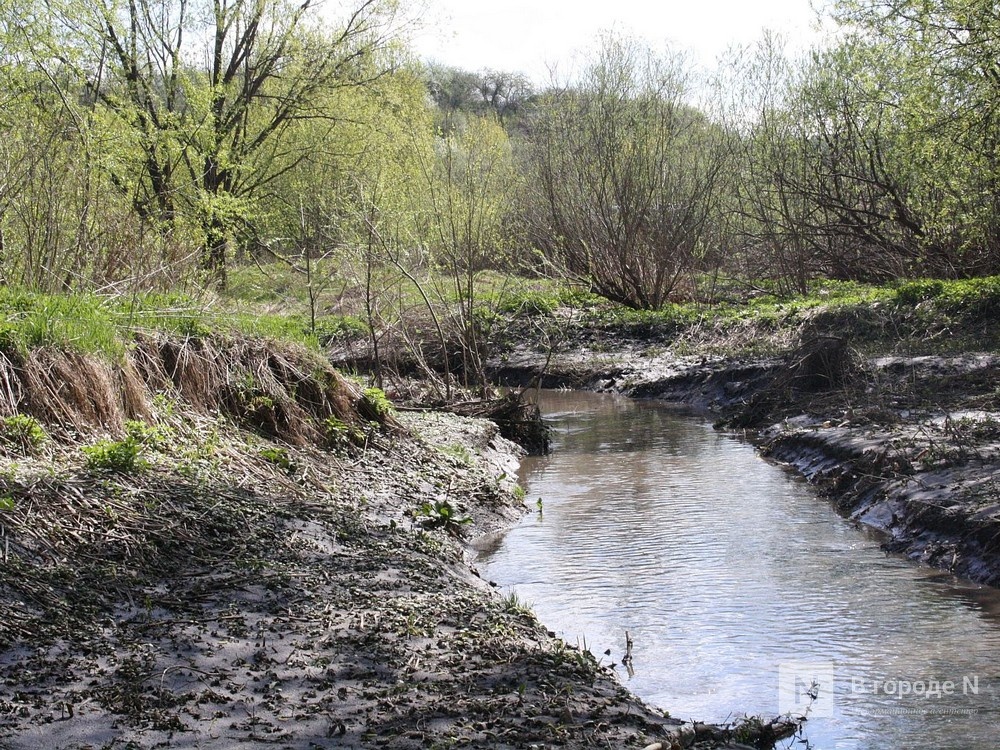 Стало известно, какие нижегородские малые реки  очистят в первую очередь - фото 1