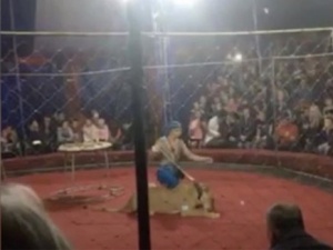 Пережившая нападение цирковой львицы девочка вышла из комы