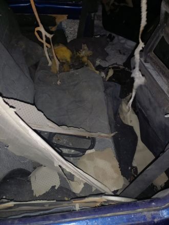 Кстовчанин взорвал петарду в машине, повторив опыт из интернет-ролика - фото 4