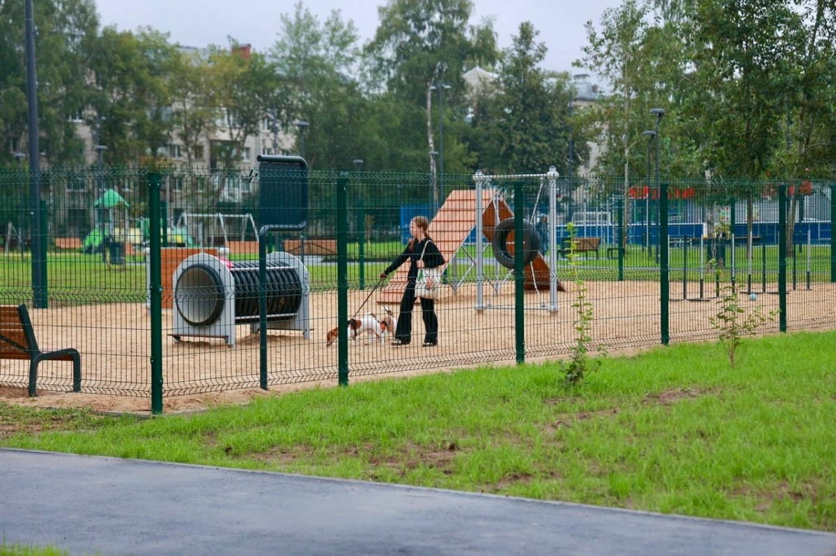 Площадки для детей и собак появились в сквере Коноваленко в Нижнем Новгороде - фото 1