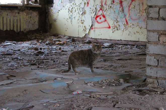 Снести или восстановить: что ждет заброшенные здания Ленинского района - фото 36