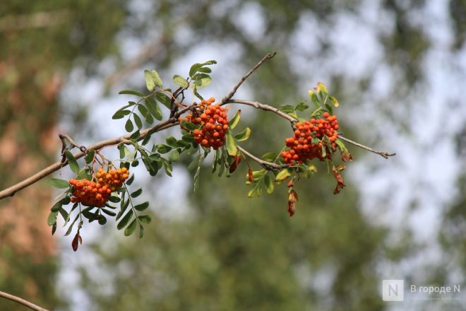 Опубликованы фото благоустраиваемых пространств Нижнего Новгорода - фото 4