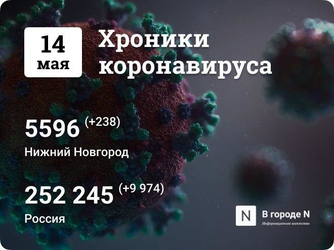 Хроники коронавируса: 14 мая, Нижний Новгород и мир - фото 1