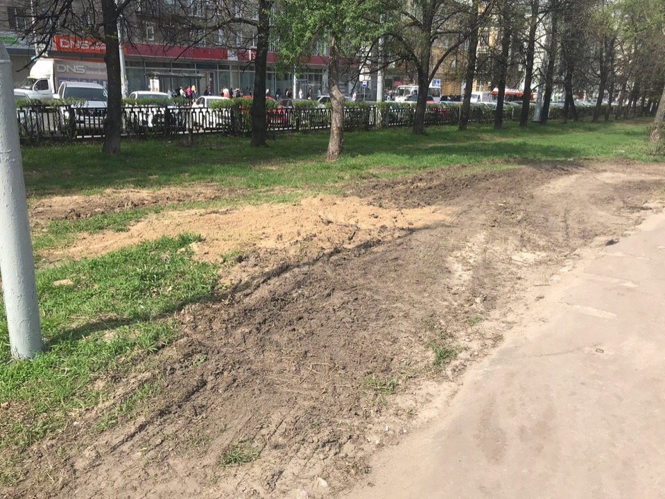 Администрация Нижнего Новгорода найдет ответственных за испорченный газон на площади Горького - фото 1