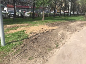 В Нижнем Новгороде изуродовали газон в сквере на площади Горького