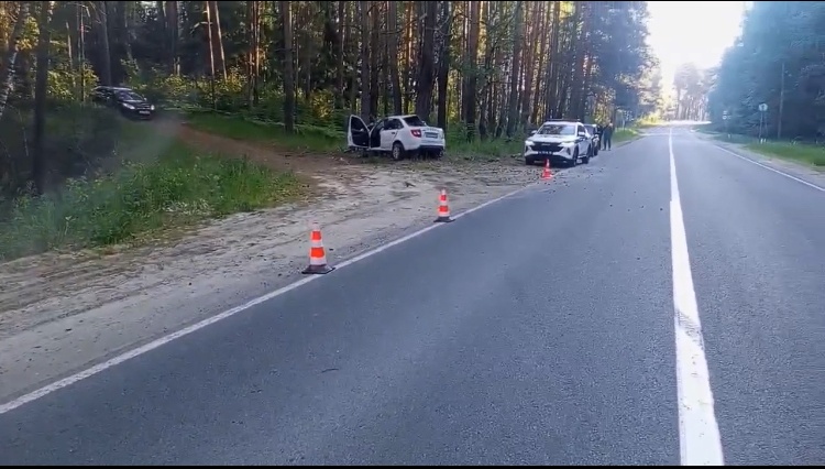 Автомобиль влетел в дерево в Нижегородской области: водитель погиб - фото 1