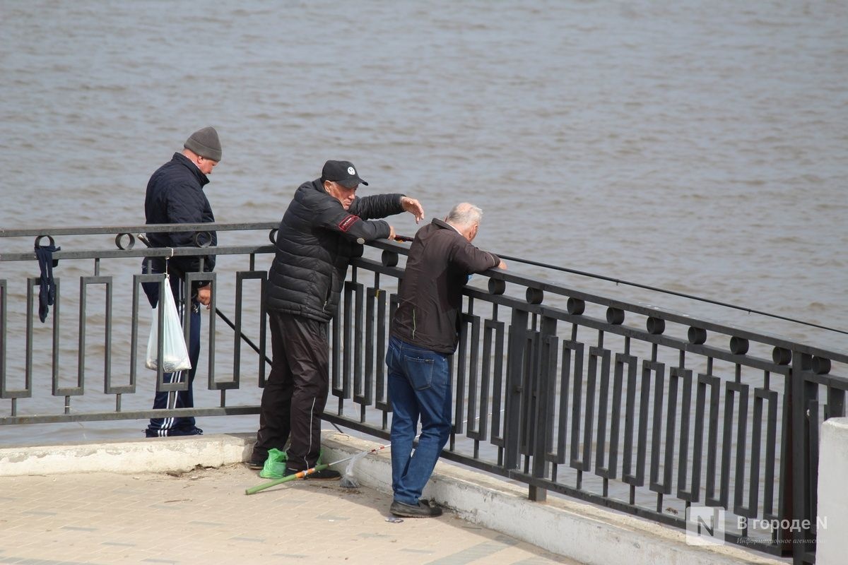 Вплоть до тюрьмы: что грозит нижегородцам за рыбалку во время нереста - фото 1