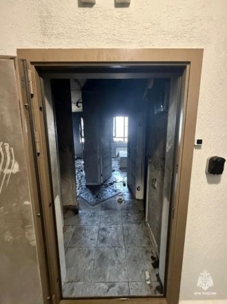 Взрослого и ребенка эвакуировали из-за пожара в многоэтажке в Нижнем Новгороде - фото 3