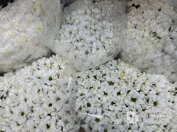 Мужчины, готовьтесь. Рассказываем, сколько стоят цветы к 8 марта в Нижнем Новгороде - фото 14