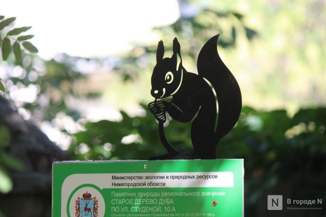 Составлена карта новых арт-объектов Нижнего Новгорода - фото 8