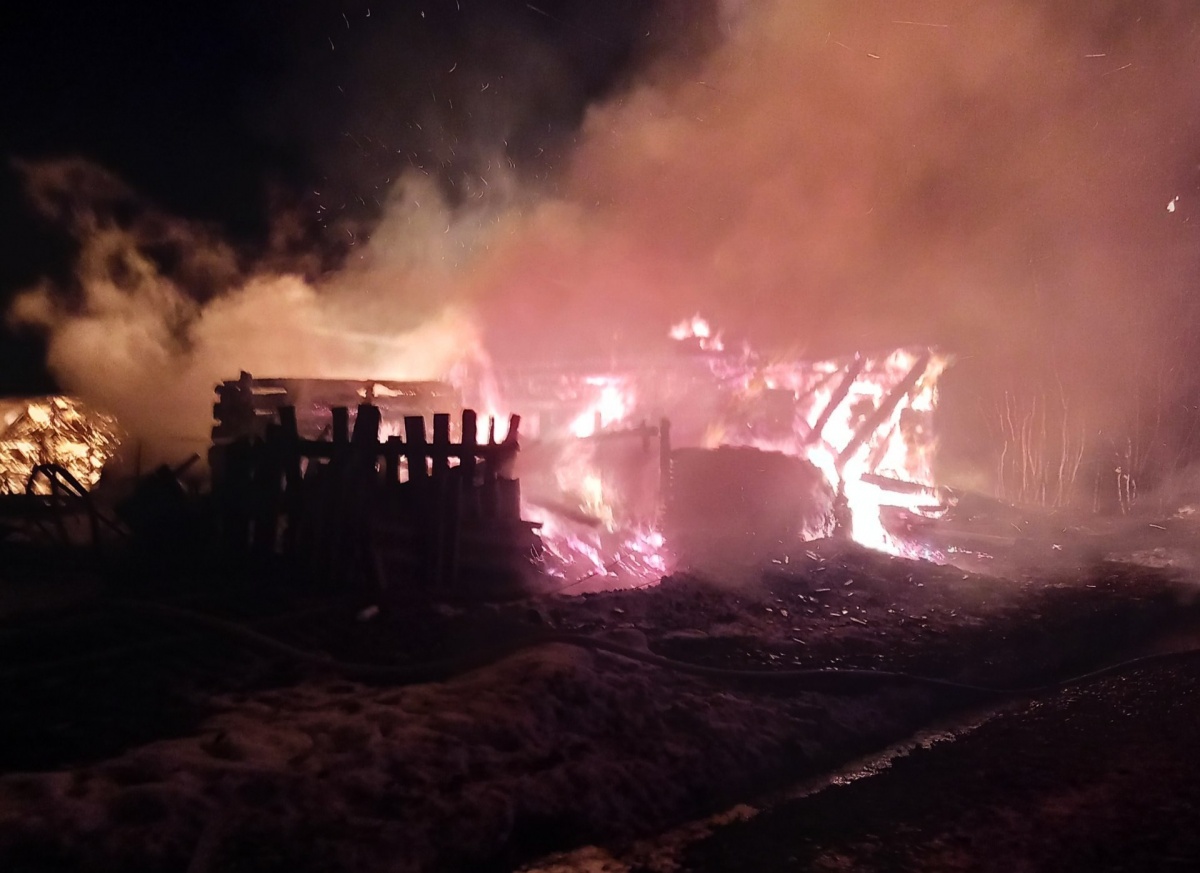 Пенсионерка погибла на пожаре в Тоншаевском районе - фото 1
