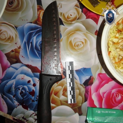 Нетрезвый житель Выксунского района напал с ножом на гостя - фото 1