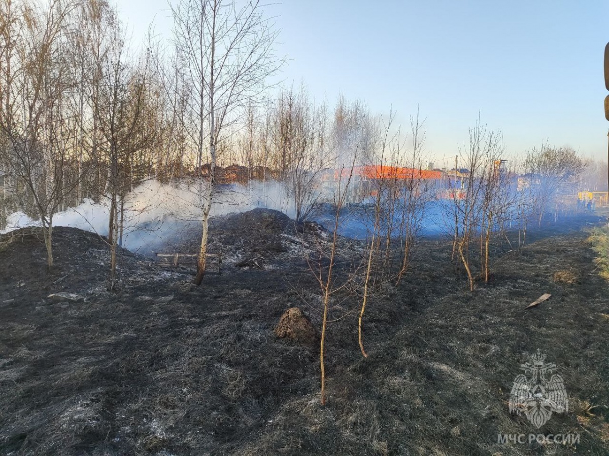 Сухая трава горит у ЖК &laquo;Окский берег&raquo; в Нижнем Новгороде - фото 1
