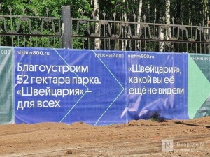 Депутаты вышли к выступающим против благоустройства, проводимого в «Швейцарии»