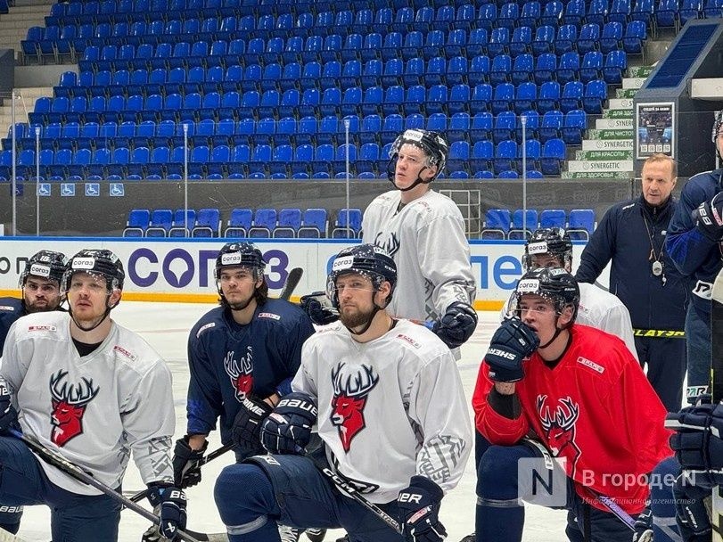 Названы зарплаты хоккеистов нижегородского &laquo;Торпедо&raquo; - фото 1