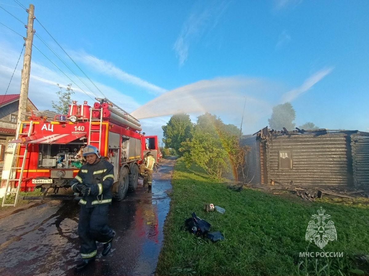 Мужчину спасли из горящего дома в Нижегородской области - фото 1