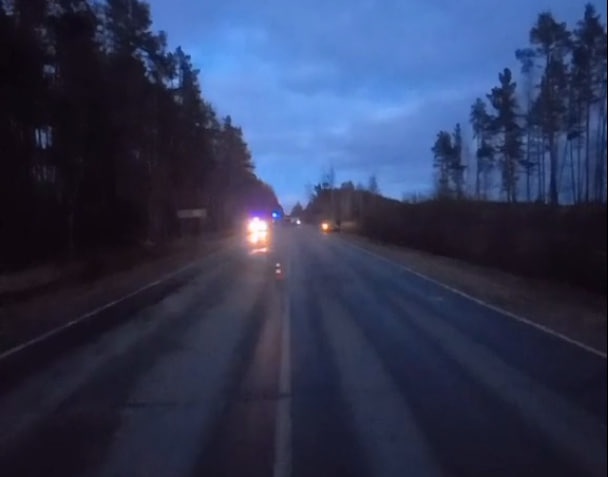 Водитель авто погиб, врезавшись в дерево в Нижегородской области - фото 1