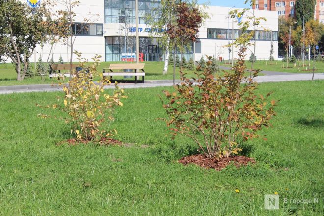 Парк 777-летия Нижнего Новгорода открылся после масштабного благоустройства: показываем, каким он стал - фото 38