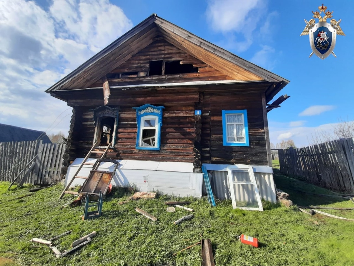 СК выясняет обстоятельства гибели пенсионерки на пожаре в Городецком районе - фото 3