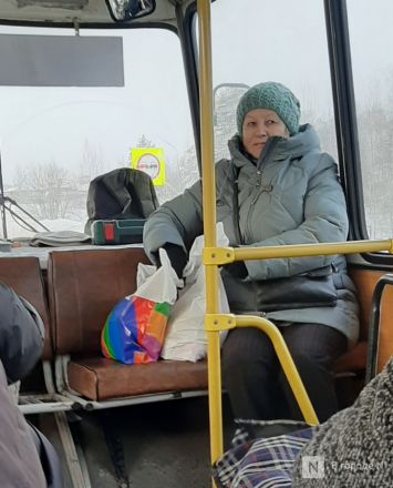Ехать час &mdash; страдать два: тестируем новые автобусные маршруты между Нижним Новгородом и Кстовом - фото 18