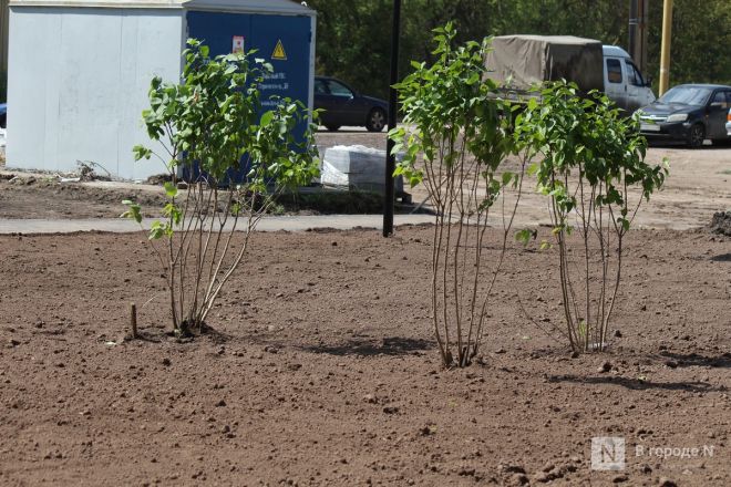 Благоустройство &mdash; 2024. Смотрим, как изменились скверы Ленинского и Московского районов - фото 69