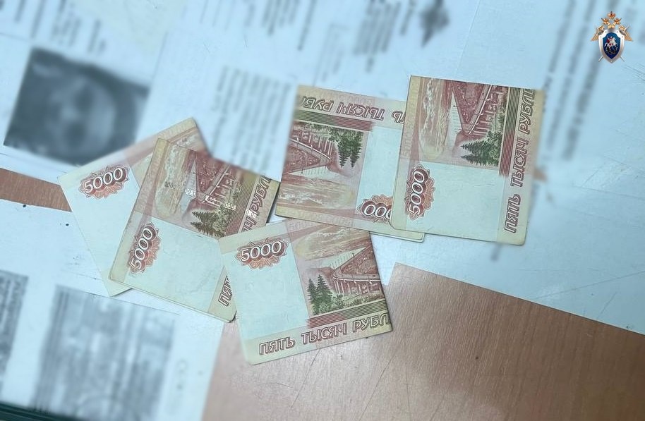 Иностранец попытался дать взятку полицейскому в нижегородском метро - фото 1