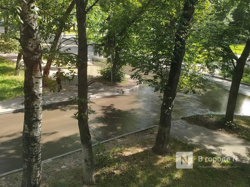 Улицу затопило в Автозаводском районе из-за прорыва на водопроводе - фото 1