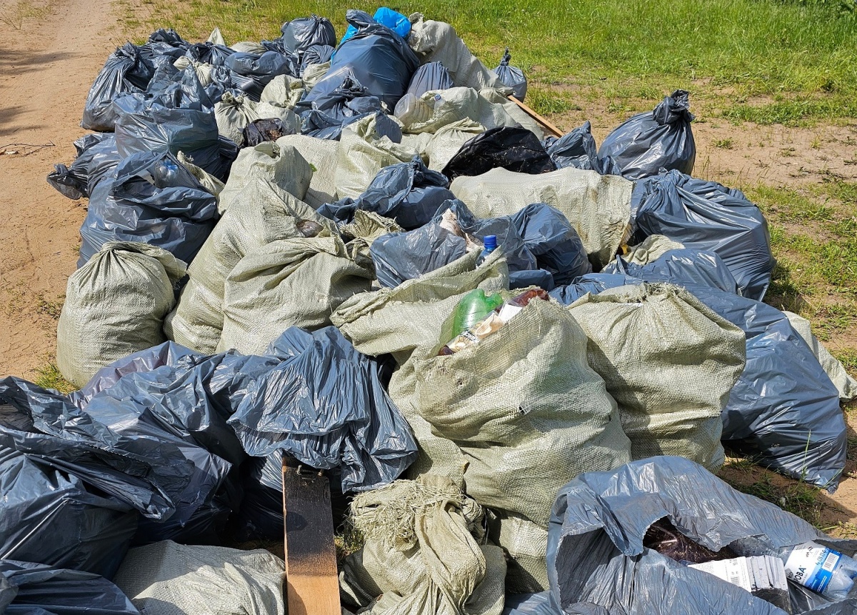 Около 300 мешков бытового мусора собрали волонтеры в Артемовских лугах - фото 1