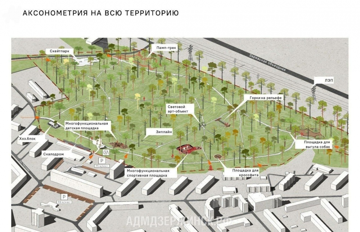 Лесной массив вдоль улицы Молодежной в Дзержинске превратят в парк - фото 1