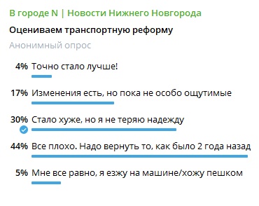 Нижегородцы просят &laquo;откатить&raquo; транспортную реформу на 2 года назад - фото 3