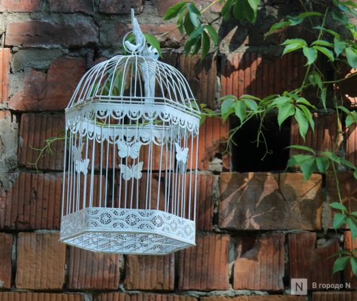 Фотозона &laquo;Посидим-почирикаем&raquo; появилась в центре Нижнего Новгорода - фото 4