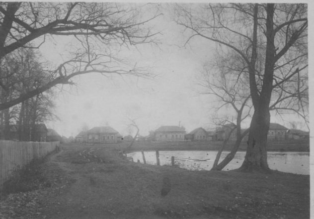 Большое Болдино: история и архивные фото Пушкинского имения - фото 3