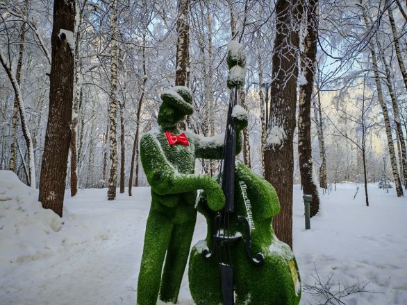 Аномальные морозы в Нижнем Новгороде: фоторепортаж из заснеженных парков - фото 8